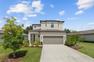 11362 DAYBREAK GLEN, PARRISH, FL 34219 Sold 02/21/25