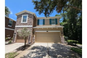12528 STREAMDALE DRIVE, TAMPA, FL 33626 Sold 12/26/24