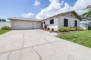 1981 BRIARWOOD STREET, DUNEDIN, FL 34698 Sold 10/31/24