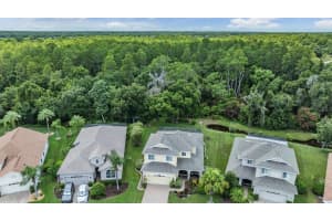 19325 RED SKY COURT, LAND O LAKES, FL 34638 Sold 11/15/24