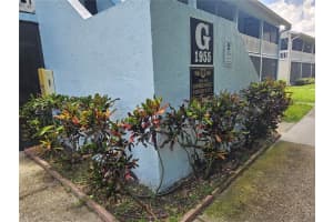 1955 ABRICO DRIVE, LUTZ, FL 33558 Sold 12/06/24