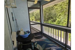 1955 ABRICO DRIVE, LUTZ, FL 33558 Sold 12/06/24