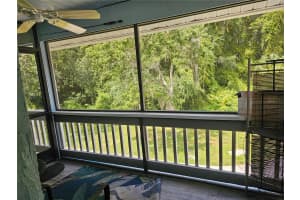 1955 ABRICO DRIVE, LUTZ, FL 33558 Sold 12/06/24