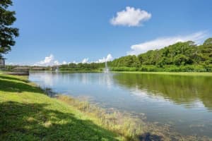 14121 STOWBRIDGE AVENUE, TAMPA, FL 33626 Sold 12/12/24