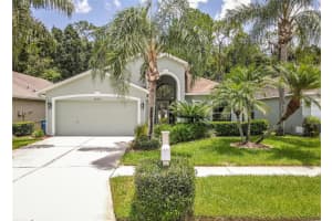 29523 BIRDS EYE DRIVE, WESLEY CHAPEL, FL 33543 Sold 11/12/24