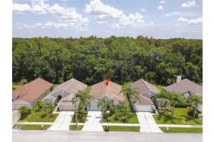 29523 BIRDS EYE DRIVE, WESLEY CHAPEL, FL 33543 Sold 11/12/24