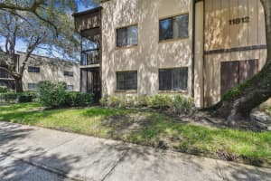 11812 RAINTREE LAKE LANE, TAMPA, FL 33617 Sold 05/22/25