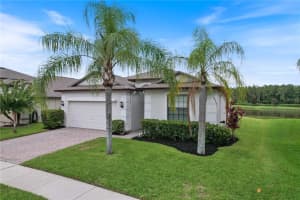 12617 MOUNTAIN SPRINGS PLACE, NEW PORT RICHEY, FL 34655 Sold 11/07/24