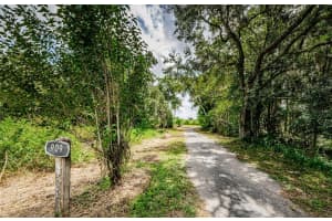909 GRANDADDY LANE, LUTZ, FL 33548 Sold 09/12/25