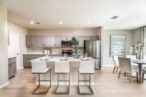 14410 MEADOW BIRD AVENUE, RIVERVIEW, FL 33579 Sold 11/22/24