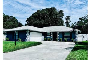 28315 TANGLEWOOD DRIVE, WESLEY CHAPEL, FL 33543 Sold 10/28/24