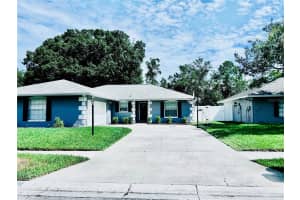 28315 TANGLEWOOD DRIVE, WESLEY CHAPEL, FL 33543 Sold 10/28/24