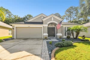 25349 FLYING EBONY LANE, WESLEY CHAPEL, FL 33544 Sold 10/15/24