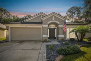 25349 FLYING EBONY LANE, WESLEY CHAPEL, FL 33544 Sold 10/15/24