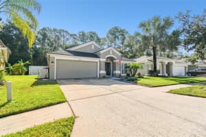 25349 FLYING EBONY LANE, WESLEY CHAPEL, FL 33544 Sold 10/15/24