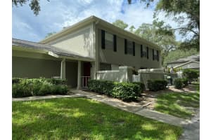 11775 RAINTREE DRIVE, TAMPA, FL 33617 Sold 10/11/24