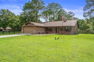 7051 FRANCES DRIVE, WESLEY CHAPEL, FL 33544 Sold 01/17/25