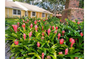 1937 PEPPERMILL DRIVE, CLEARWATER, FL 33763 Sold 11/15/24