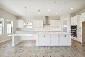 10243 SURREY ROSE DRIVE, SAN ANTONIO, FL 33576 Sold 01/29/25