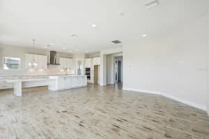 10243 SURREY ROSE DRIVE, SAN ANTONIO, FL 33576 Sold 01/29/25