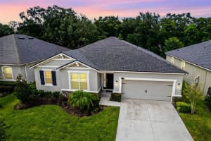 11406 BLUE WOODS DRIVE, RIVERVIEW, FL 33569 Sold 03/04/25