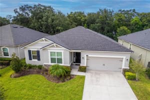 11406 BLUE WOODS DRIVE, RIVERVIEW, FL 33569 Sold 03/04/25