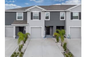 34347 SORREL MINT DRIVE, WESLEY CHAPEL, FL 33543 Sold 01/31/25