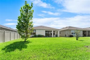 8325 WHEAT STONE DRIVE, ZEPHYRHILLS, FL 33540 Sold 12/06/24