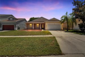 11441 LAUREL BROOK COURT, RIVERVIEW, FL 33569 Sold 02/07/25