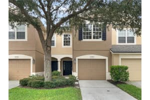 10137 HAVERHILL RIDGE DRIVE, RIVERVIEW, FL 33578 Sold 03/24/25