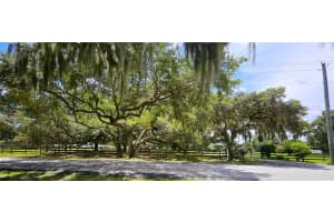 18125 DORMAN ROAD, LITHIA, FL 33547 Sold 10/22/24