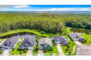 15419 RENAISSANCE AVENUE, ODESSA, FL 33556 Sold 10/29/24