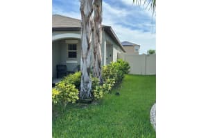 9638 LEMON DROP LOOP, RUSKIN, FL 33573 Sold 10/18/24