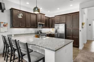 30900 LINDENTREE DRIVE, WESLEY CHAPEL, FL 33543 Sold 03/03/25