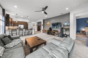30900 LINDENTREE DRIVE, WESLEY CHAPEL, FL 33543 Sold 03/03/25
