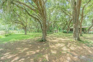 5231 EMORY DRIVE, WESLEY CHAPEL, FL 33543 Sold 05/16/25