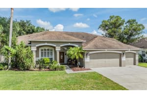 3904 SADDLE RIDGE STREET, VALRICO, FL 33596 Sold 03/27/25