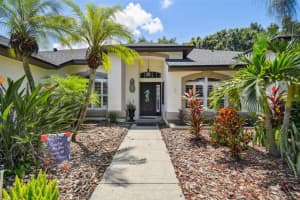 3827 SPRUCE PINE DRIVE, VALRICO, FL 33596 Sold 11/04/24
