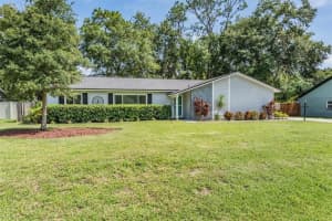 23907 FOREST GREEN PLACE, LAND O LAKES, FL 34639 Sold 09/28/24