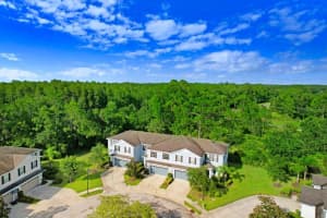 20548 GRAND VISTA LANE, TAMPA, FL 33647 Sold 12/18/24