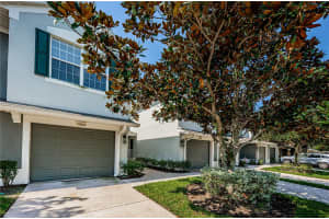 10241 SPANISH BREEZE COURT, RIVERVIEW, FL 33578 Sold 11/15/24