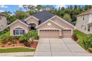 3247 DIAMOND FALLS CIRCLE, LAND O LAKES, FL 34638 Sold 10/24/24