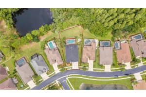 3247 DIAMOND FALLS CIRCLE, LAND O LAKES, FL 34638 Sold 10/24/24