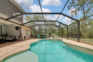 3247 DIAMOND FALLS CIRCLE, LAND O LAKES, FL 34638 Sold 10/24/24