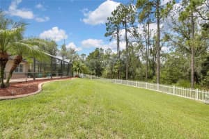 3247 DIAMOND FALLS CIRCLE, LAND O LAKES, FL 34638 Sold 10/24/24