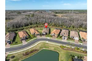 11031 CALLUNA DRIVE, ODESSA, FL 33556 Sold 12/31/24