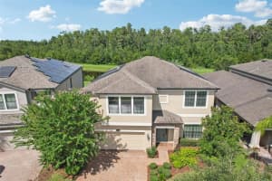 19544 WHISPERING BROOK DRIVE, TAMPA, FL 33647 Sold 10/24/24
