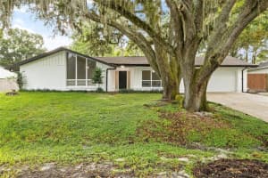 23118 GENEVA RD, LAND O LAKES, FL 34639 Sold 09/13/24
