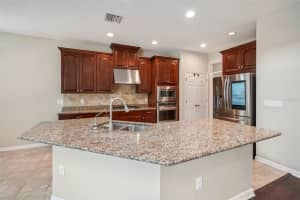 27119 CAROLINA ASTER DRIVE, WESLEY CHAPEL, FL 33544 Sold 10/16/24