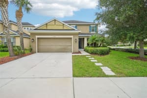 27119 CAROLINA ASTER DRIVE, WESLEY CHAPEL, FL 33544 Sold 10/16/24